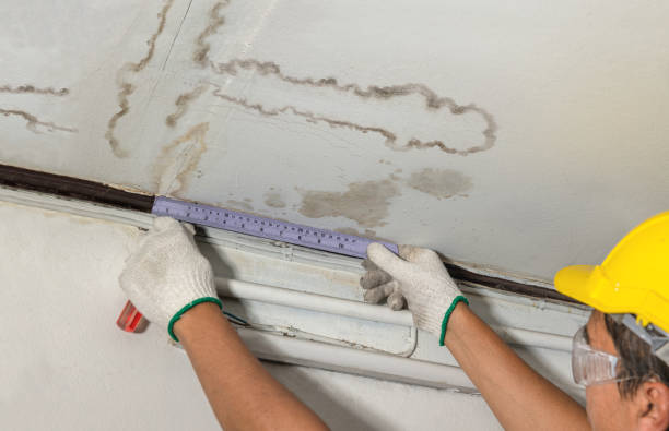 Affordable Ceiling Water Damage Repair solutions in Burbank, OH